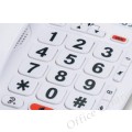 "Alcatel"  室內電話 #Tmax 20